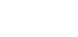 Value Surgical Logo