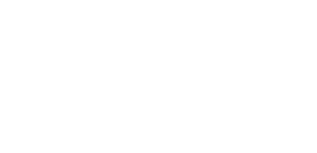 Value Surgical Logo