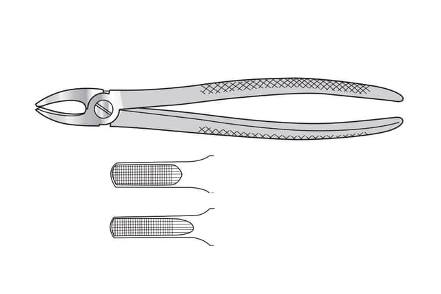 Extracting Forceps