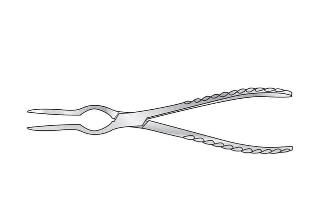 Walsham Septum Forceps