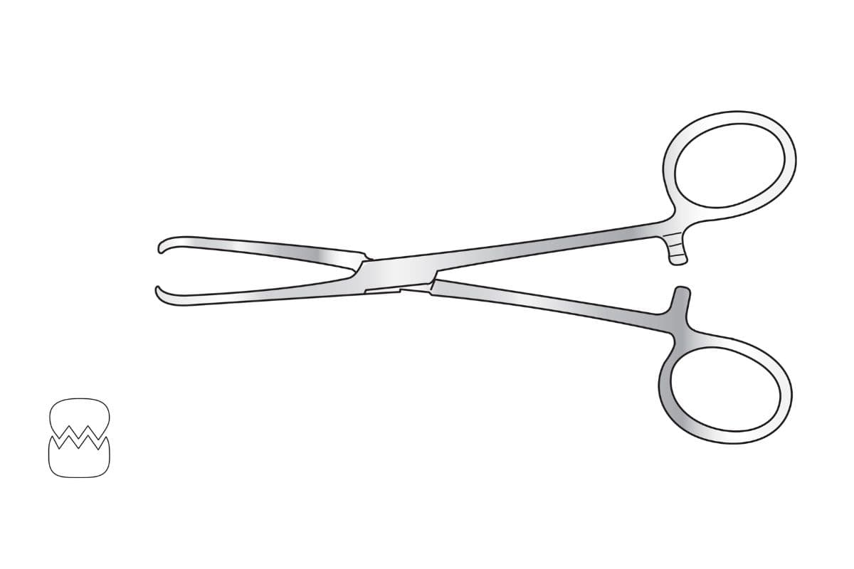 Tissue Forceps subcategory