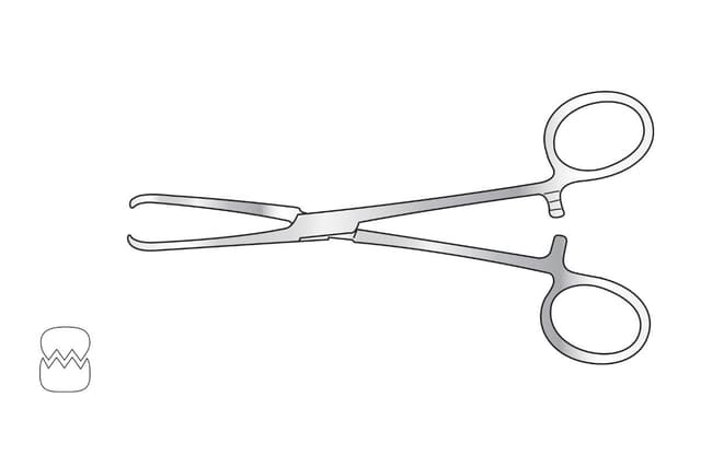 Allis Tissue Forceps