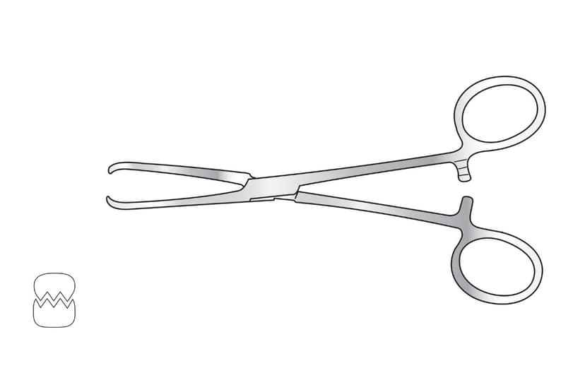 Allis Tissue Forceps