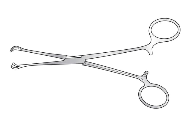 Babcock Tissue Forceps