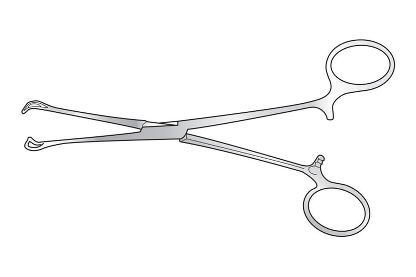 Babcock Tissue Forceps