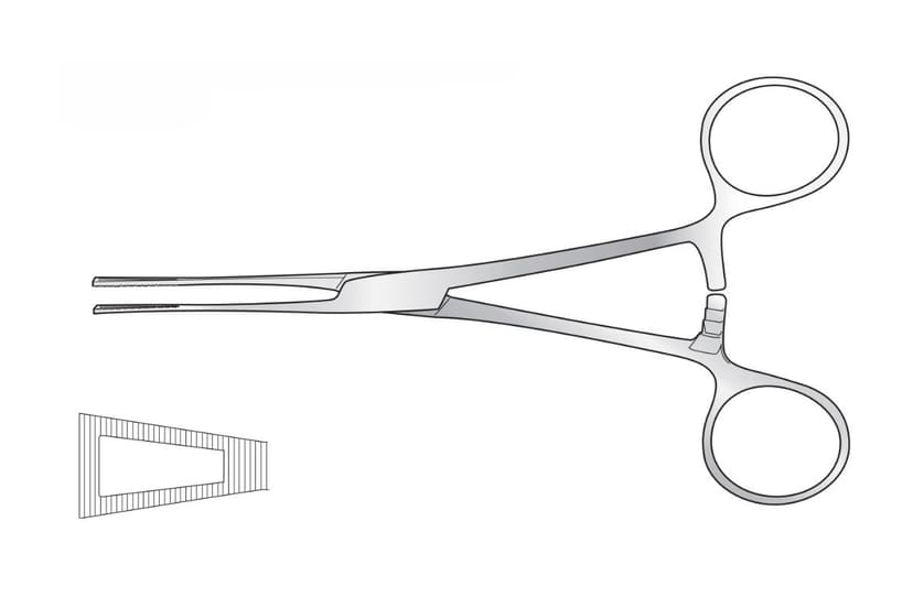 Duval Tissue Forceps