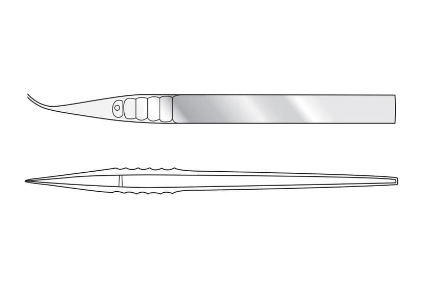 Fredrick Coole Dissecting Forceps