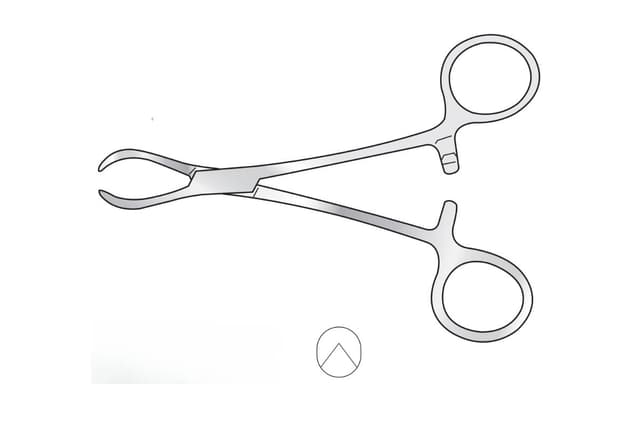 Lane Tissue Forceps