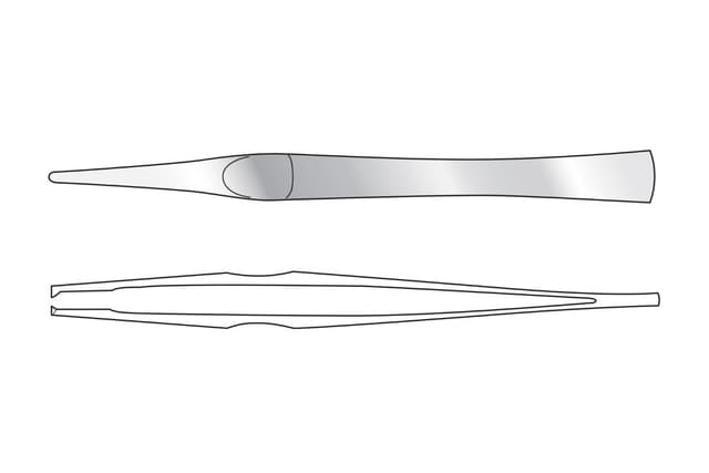 Lanes Dissecting Forceps