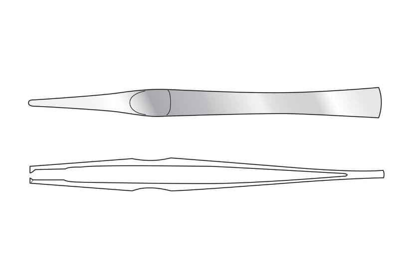 Lanes Dissecting Forceps
