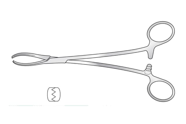 Littlewood Tissue Forceps