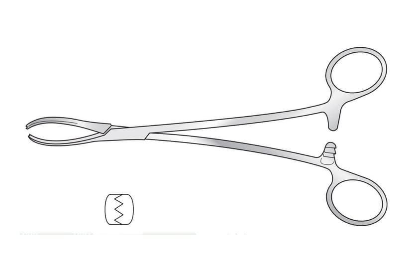 Littlewood Tissue Forceps