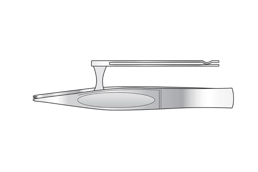 Michel Skin Holding Forceps