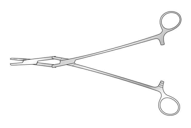 Naughton Morgan Needle Holder