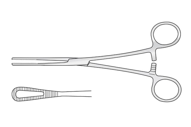 Rampley Sponge Holding Forceps