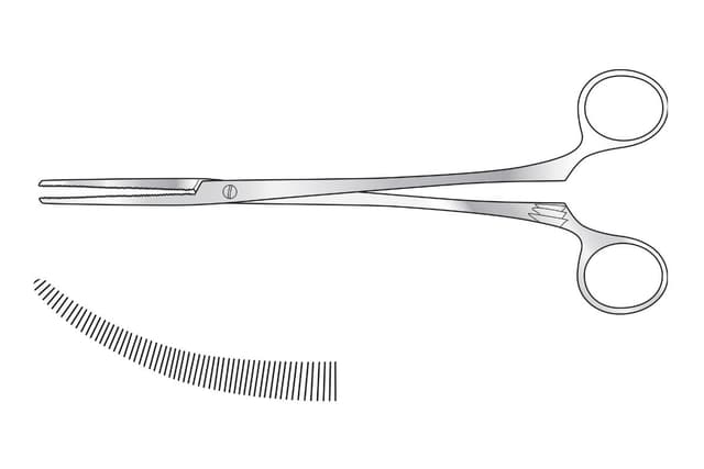 Roberts Artery Forceps