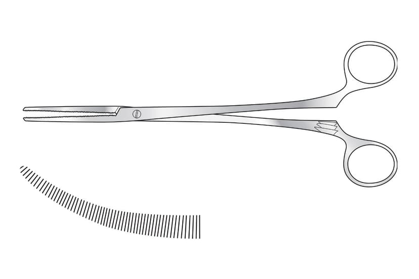 Roberts Artery Forceps