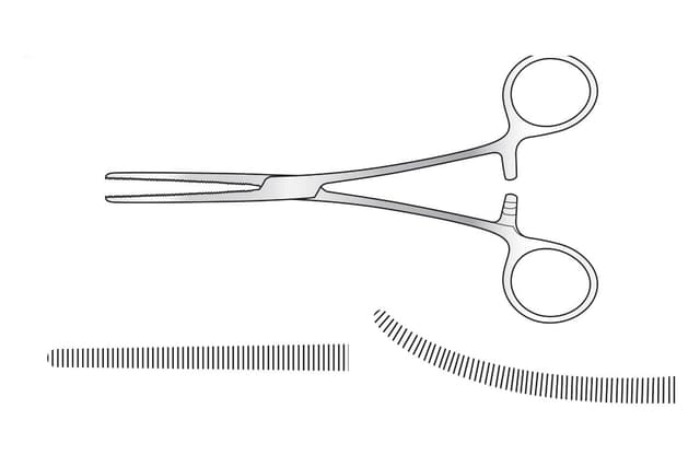 Rochester-Pean Artery Forceps