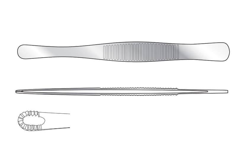 Russian Dissecting Forceps