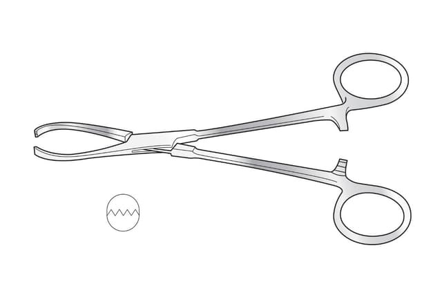Rutherford Morrison Tissue Forceps