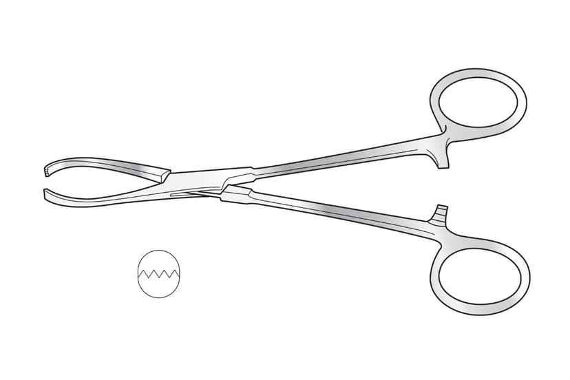 Rutherford Morrison Tissue Forceps