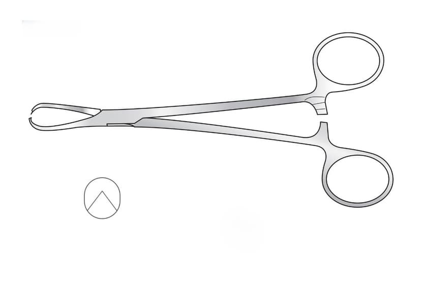 Shaw Tissue Forceps
