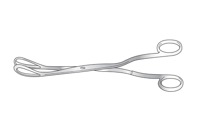 Greenhalgh Ovum Forcep