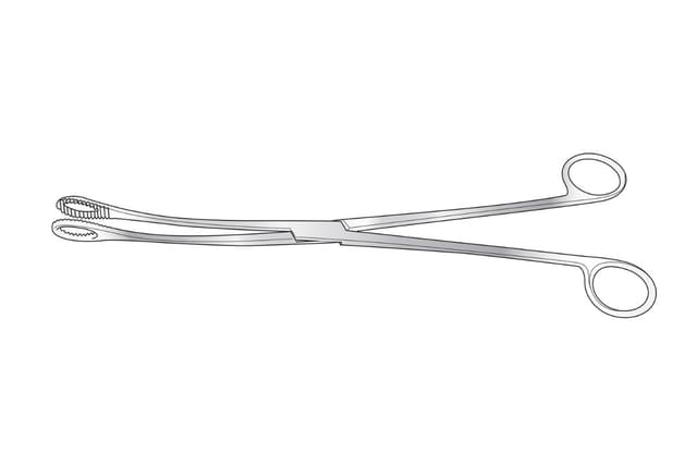 Keily Ovum Forceps