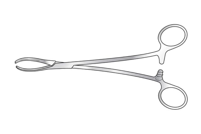 Littlewood Tissue Forceps