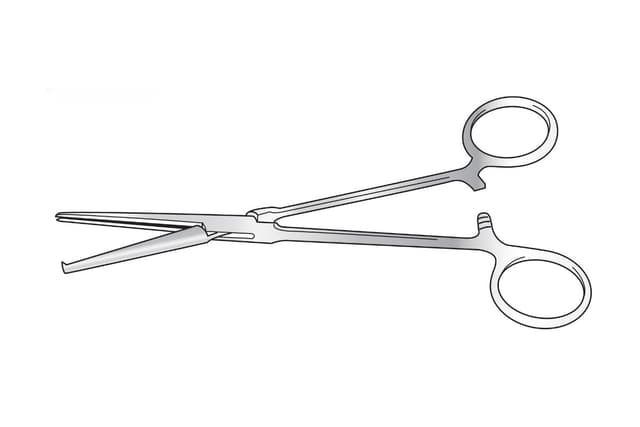 Maingot Hysterectomy Forceps