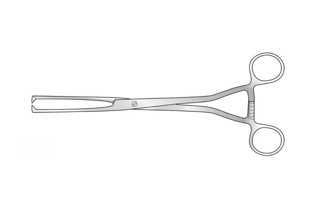 Museux Vulsellum Forceps