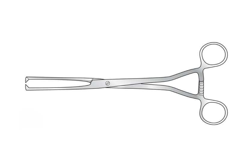Museux Vulsellum Forceps