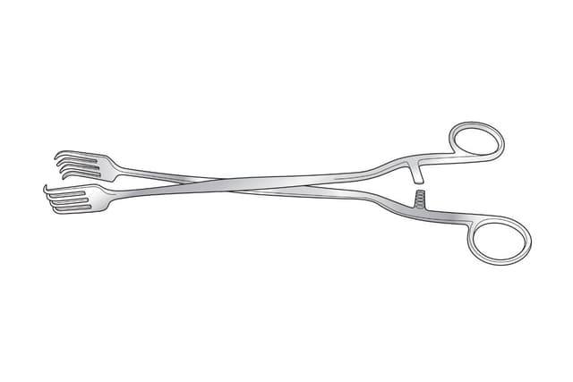Pratt Tenaculum Forceps