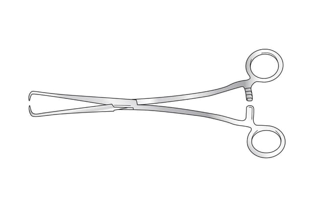 Schroeder Uterine Vulsellum Forcep
