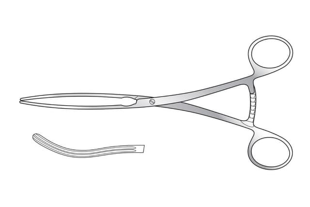 Kocher Intestinal Forceps