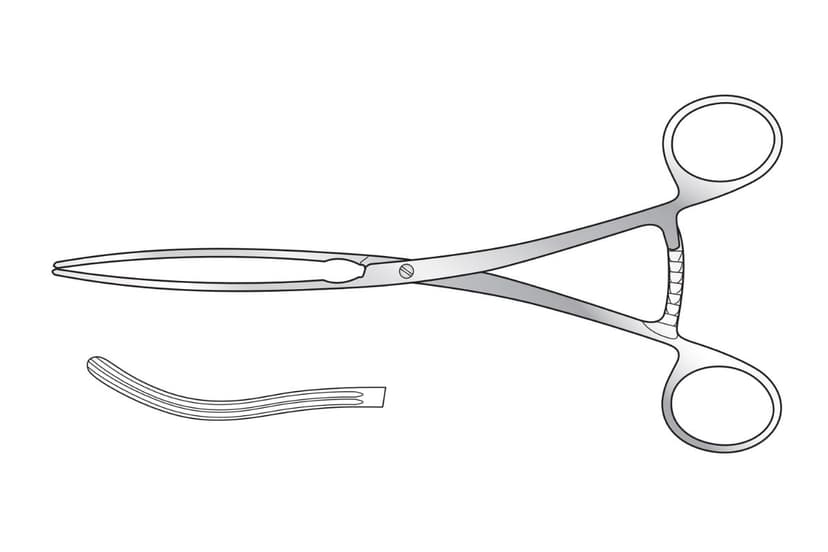 Kocher Intestinal Forceps