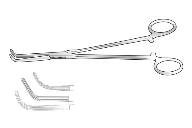 Lahey Sweet Forceps