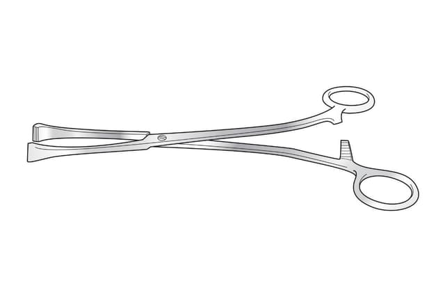 Lane Stomach Holding Forceps