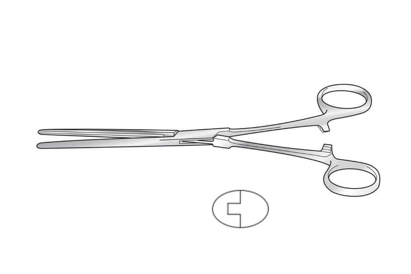 Lang Stevenson Intestinal Forceps