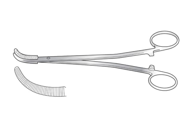 Moynihan Cholecystectomy Forceps