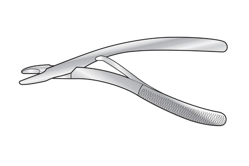 Daniel Rongeur (Miniature)