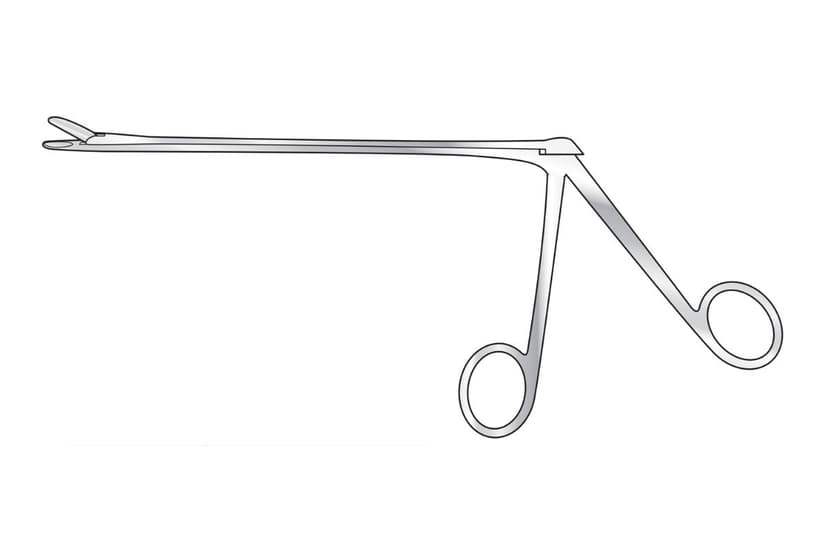 Love-Grunwald Rongeur