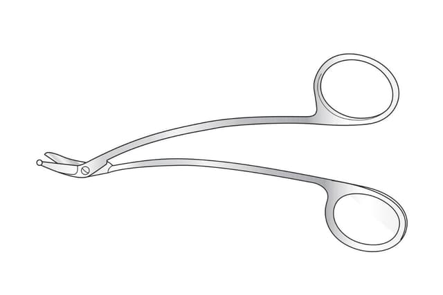 Schmieden (Taylor) Scissors