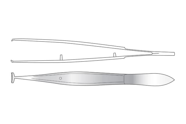 Barraquer Fixation Forceps