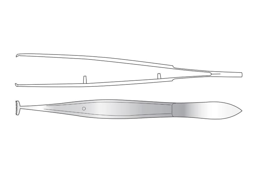 Barraquer Fixation Forceps