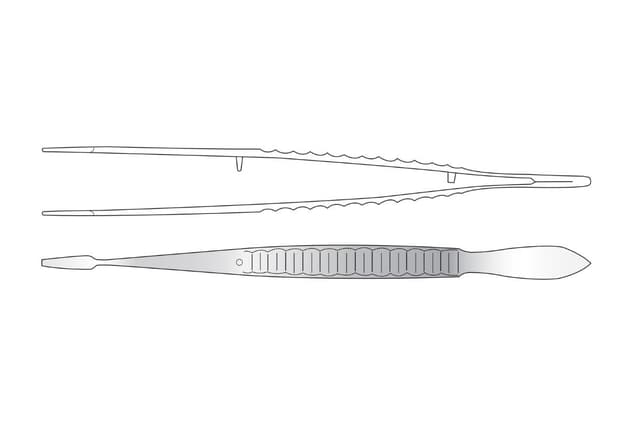 Jameson Evans Cilia Forceps