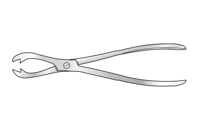 Fergusson Bone Holding Forceps