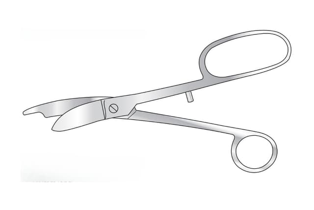 Guys Plaster Shears
