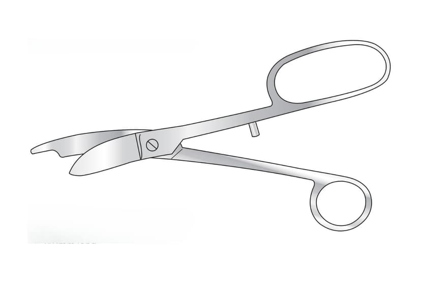Guys Plaster Shears