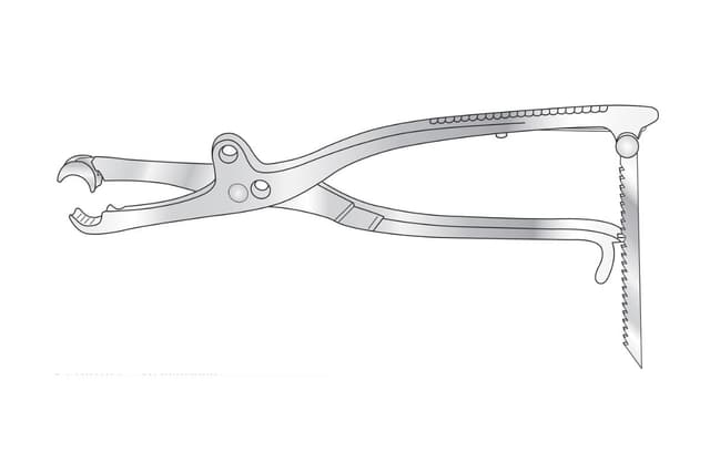 Lambotte Bone Holding Forceps (265mm)
